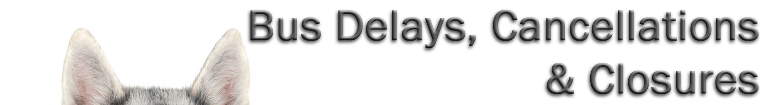 Bus delays, cancellations & closures
